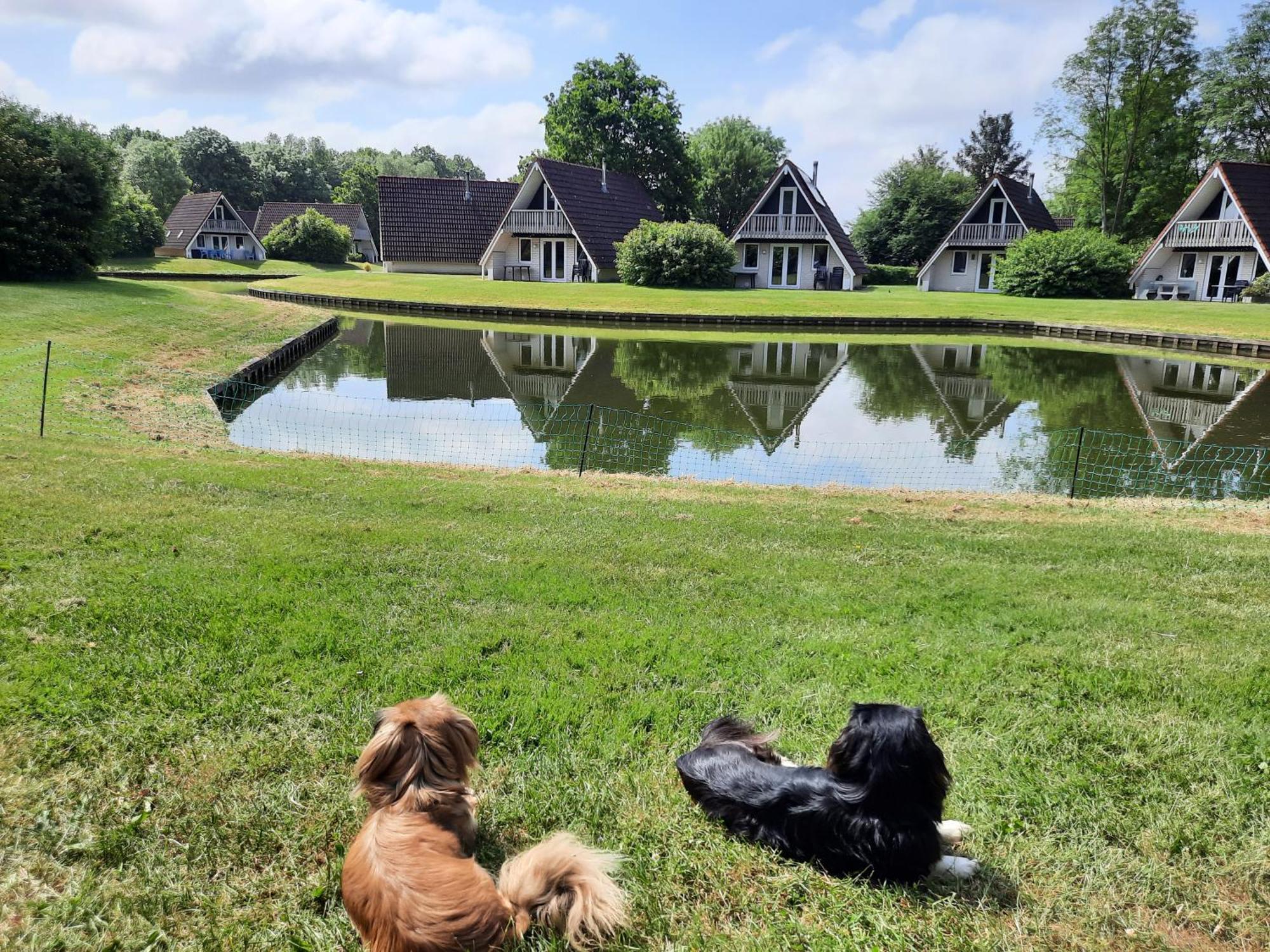 De Gouwe, 158 - Aan Visvijver, De Beste Visstek Gramsbergen Esterno foto